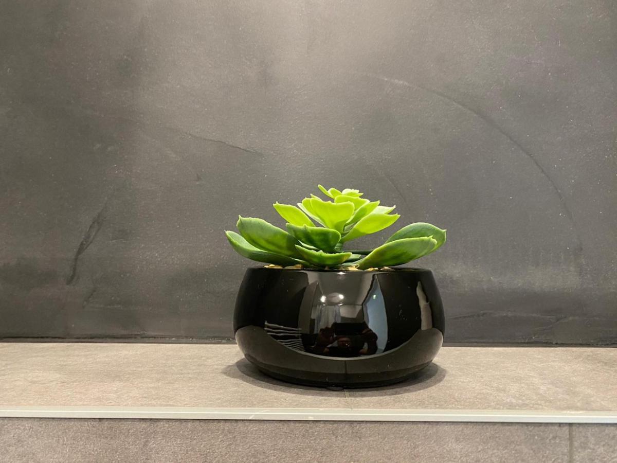 Apartment Bianca Premantura Istrien エクステリア 写真